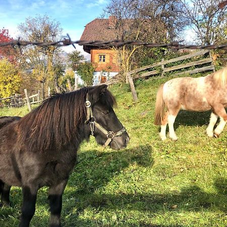 Feielhof Hotell Krakaudorf Eksteriør bilde