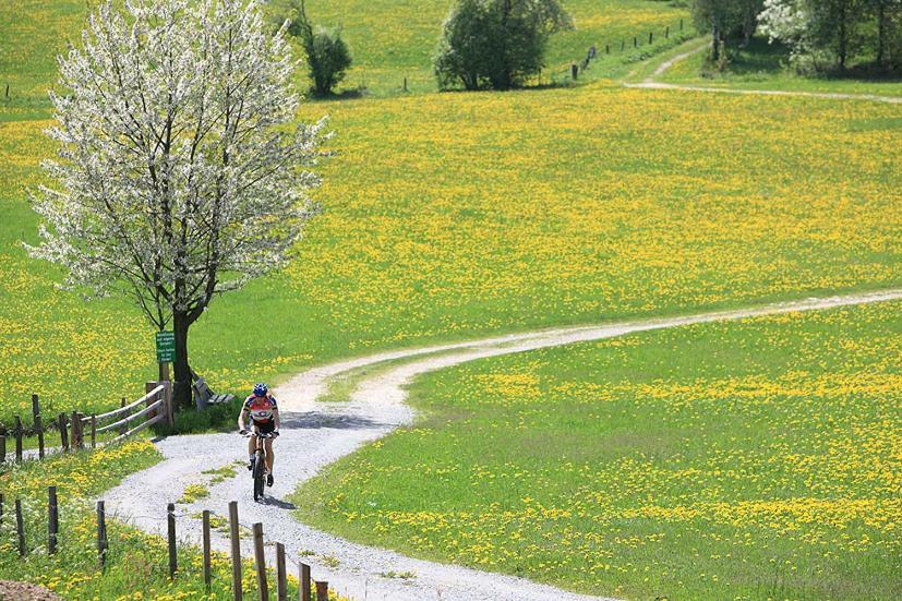 Feielhof Hotell Krakaudorf Rom bilde